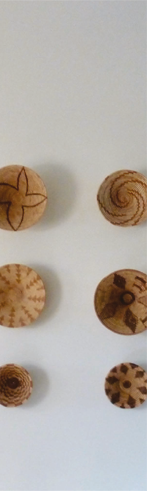 vacances-dolphin-06 Argyle Bureau